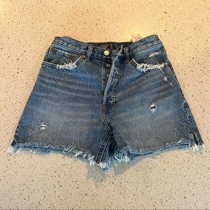 Abercrombie & Fitch Jean Shorts